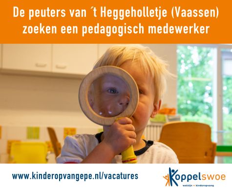 Krijg jij energie van het werken met peuters? Voor 't Heggeholletje, onze peuteropvang in Vaassen zijn wij op zoek naar een pedagogisch medewerker.
